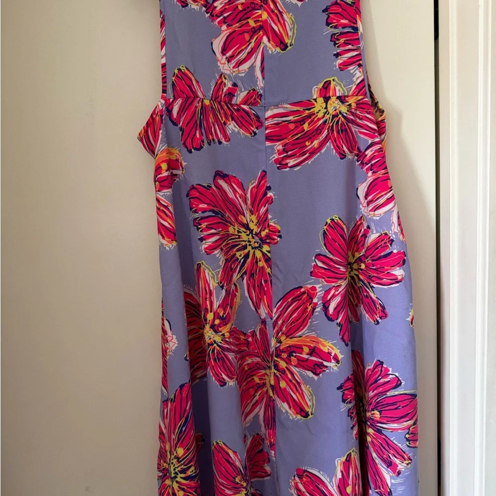 Lilly Pulitzer HTF & Holy Grail Molly Haynes Dress. SZ Large - Picture 7 of 7
